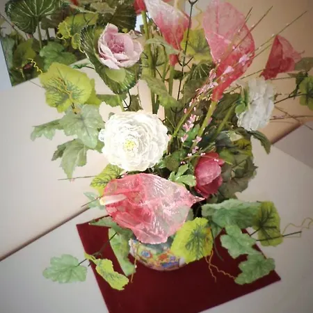 B&B Il Girasole 비보발렌티아