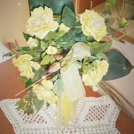 Bed and breakfast Il Girasole *