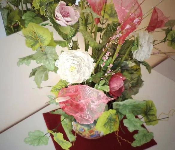 B&B Il Girasole 비보발렌티아